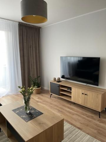Apartament Centrum II ليدزبارك فارنيتسكي المظهر الخارجي الصورة
