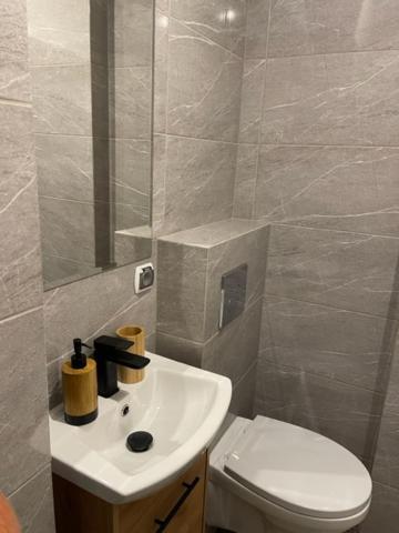 Apartament Centrum II ليدزبارك فارنيتسكي المظهر الخارجي الصورة